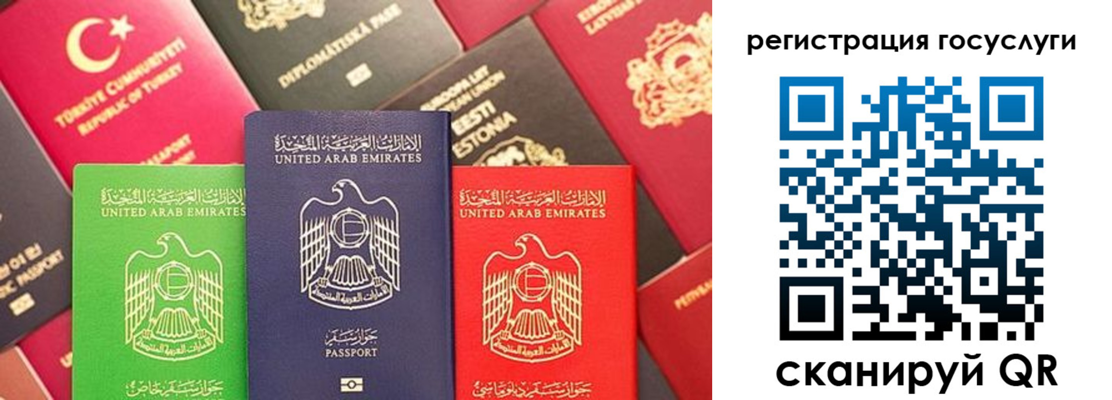 временная регистрация недорого в Чкаловске